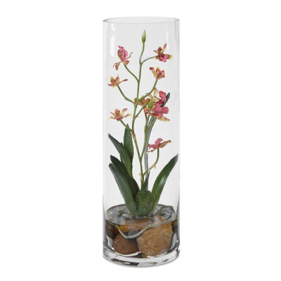 Orchidée rose Mariposa