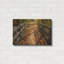 «Fall On The Footbridge» par Tim Oldford-1439935082