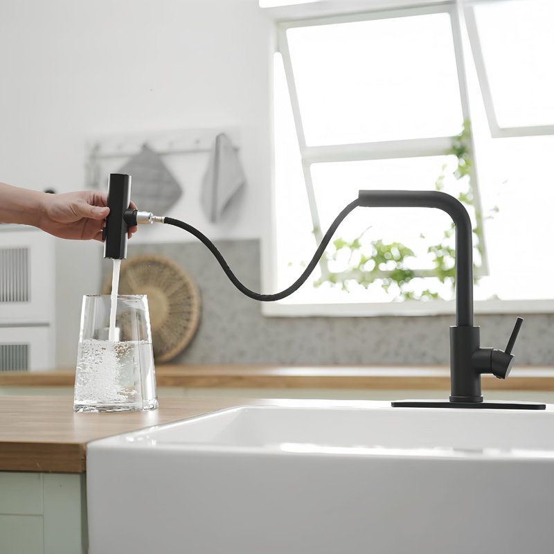 Kitchen Faucet with Pull Down Sprayer, Black