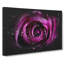 Purple Rose Flower Vol.2 - Wrapped Canvas-64075739