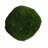 3.5 " H Faux Foliage Plant