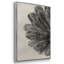 Blossfeldt Botanical III 3 pièces-2023322012-2023322015