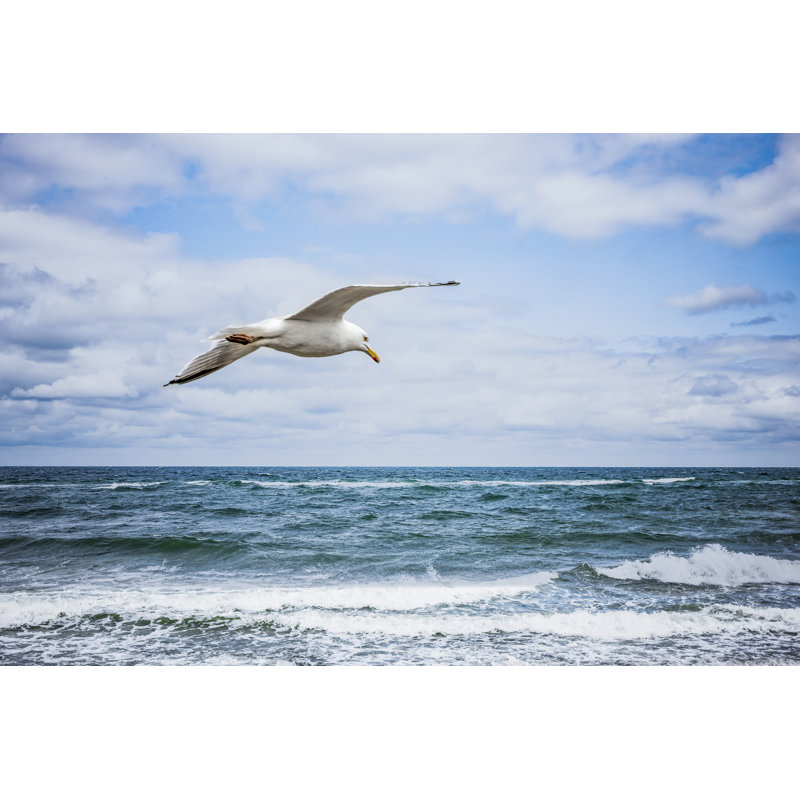 White Seagull - Wrapped Canvas Print, 20cm H x 30cm W