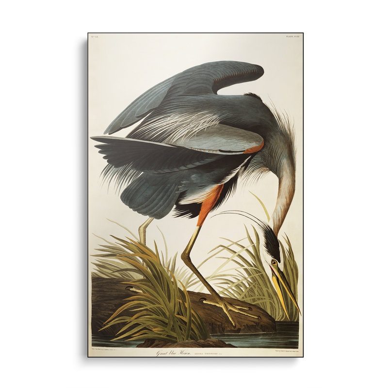 Reproduction d'art sur toile en métal «Steelerix» - Grand héron bleu par John James Audubon