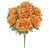 Poussière d'orange