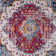 Teshawna Esmay Performance Blue/Red Medallion Rug