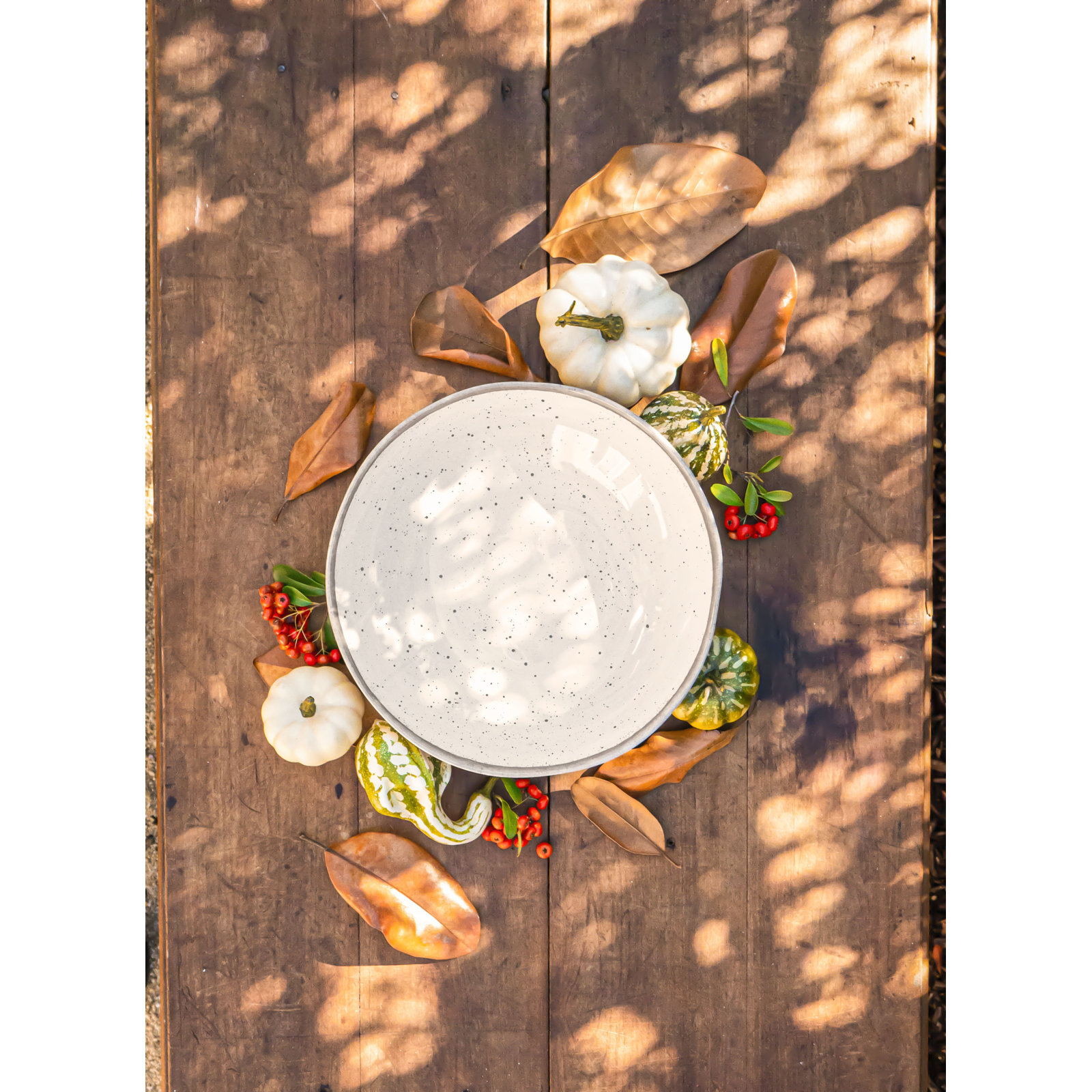 RE/FINE™ Laya 11" Dinner Plate