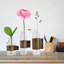 Ensemble de 3 bouteilles décoratives Ashlee