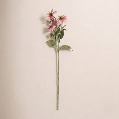 Rimma Chrysanthemum Stems