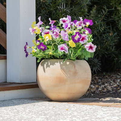 Lifelike Petunia Window Box Filler - Purple and Yellow