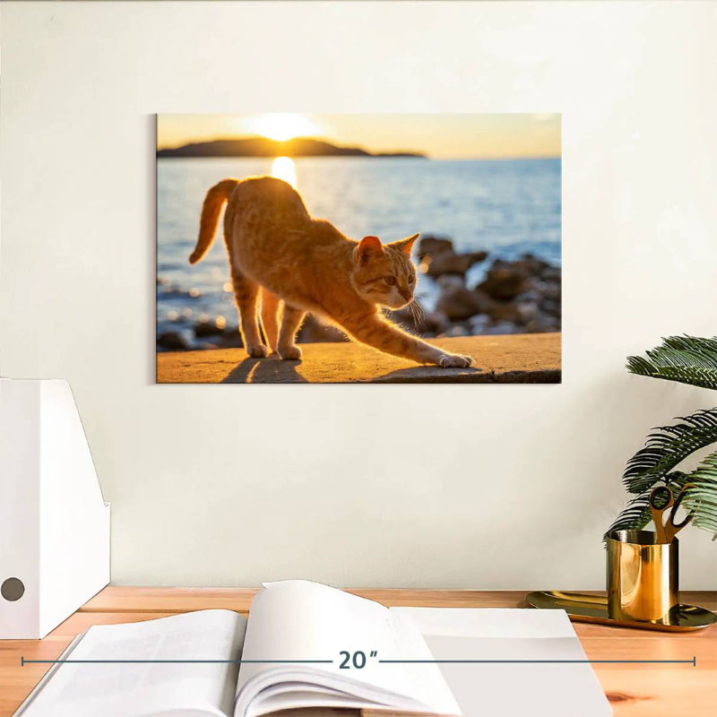 Brampt Yellow Cat, 8" H x 12" W