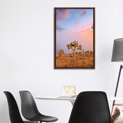 Lovely Sunset At Joshua Tree National Park by Melanie Viola - Print on Canvas