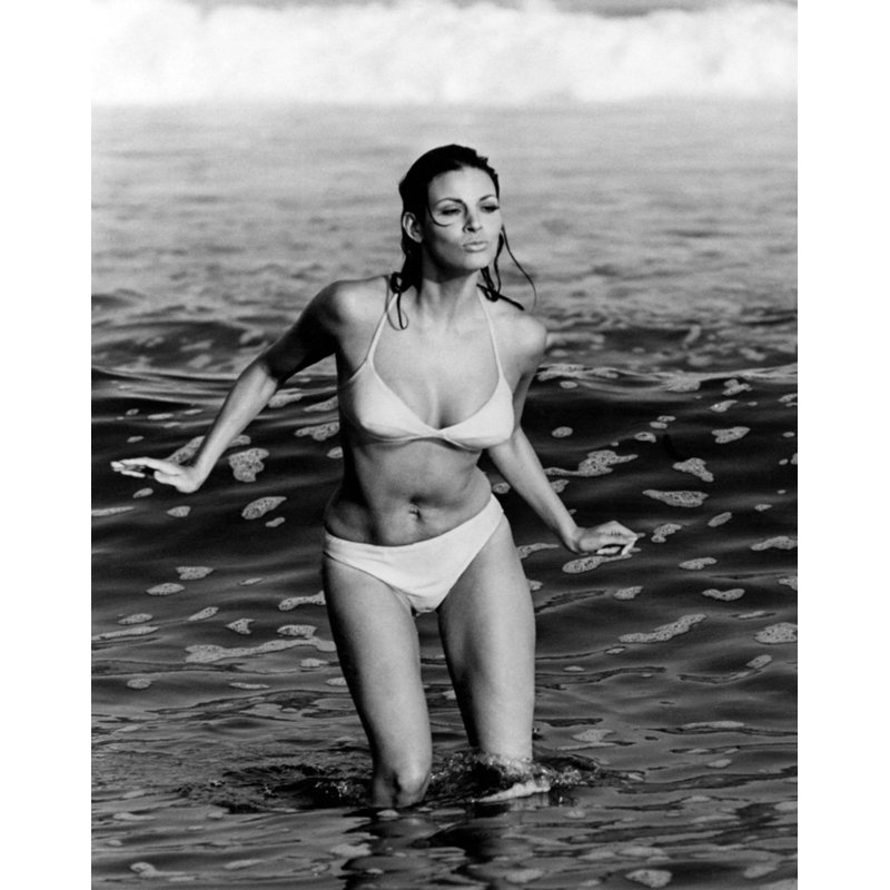 Raquel Welch Posing in a Bikini - Photographie sans cadre, H 10 po x l 8 po