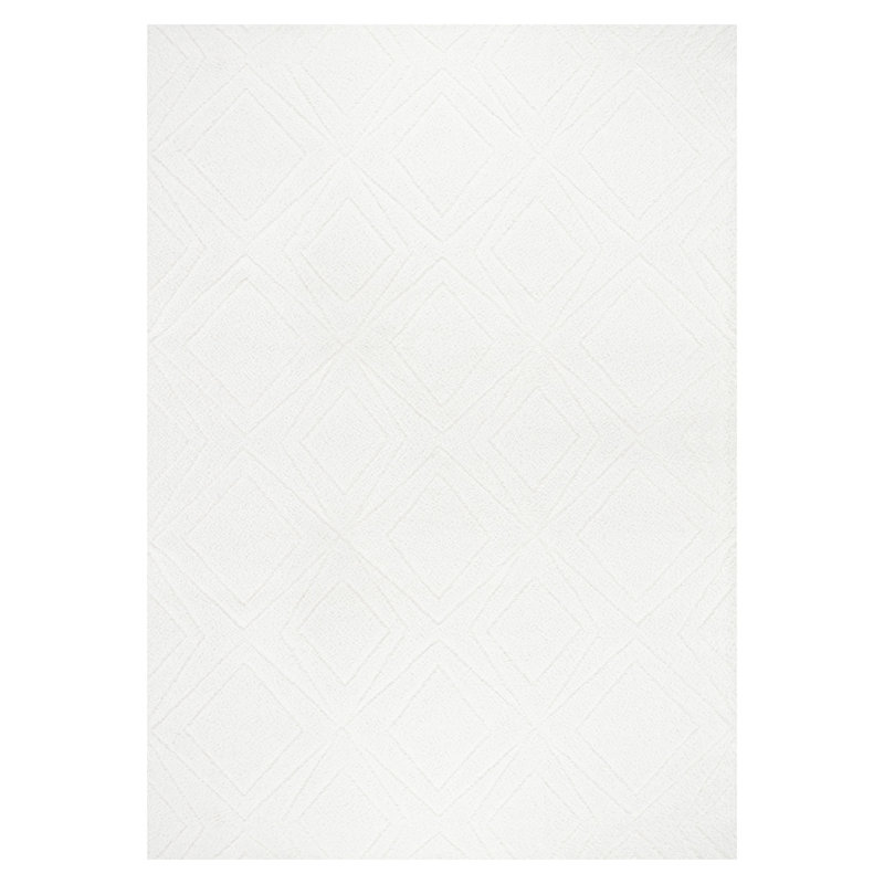 Paris Shag Indoor Rug, Rectangle 8'8" x 11'8"