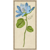 Vintage Floral Etching 6 Print