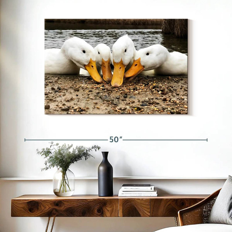 Pekin Ducks de Brampt, H 26 po x l 39 po