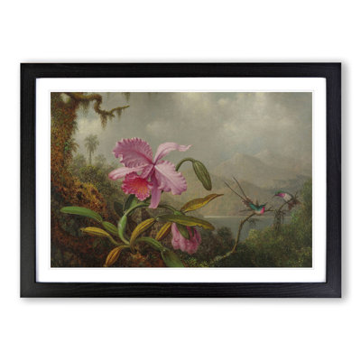 Orchid with Hummingbirds Vol.1 by Martin Johnson Heade - Picture Frame Painting