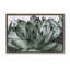 «Succulent with Rain Droplets», toile flottante encadrée grise par Jennifer Rigsby-2047484514-2047484830