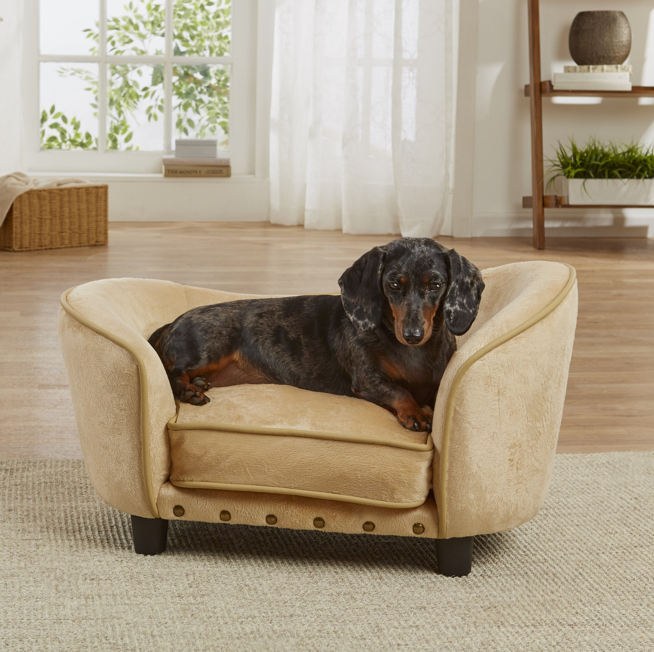 Archie Oscar™ Odin Dog Sofa Reviews Wayfair