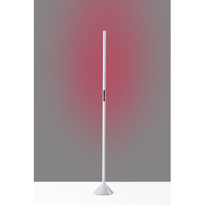 Leif 58'' LED Novelty Floor Lamp