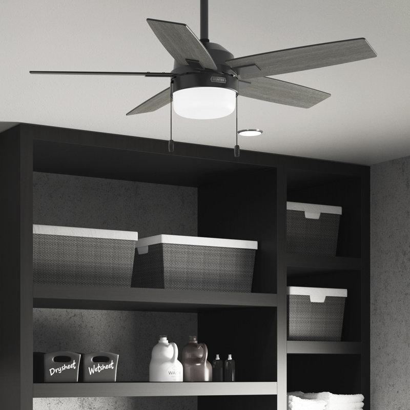 Anisten 44" 5 - Blade Indoor Ceiling Fan With Lights and Pull Chains, Small Room, White