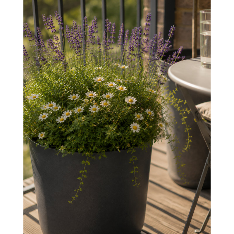 Robin Round Bucket Planter, Contemporary Concrete Effect, Round Indoor and Outdoor Plant Pot with Drainage Hole, Black