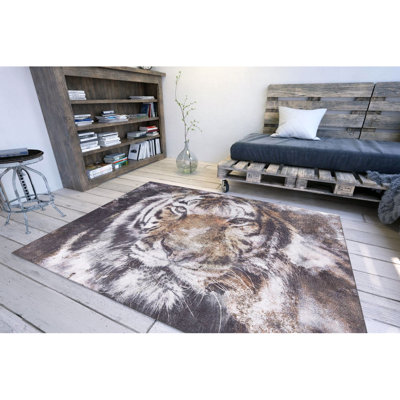 Premium Machine Washable Carpet, 4.6 x 6.2 Feet, 100% Polyester, 1850 g/m² | Pile Height: 0.2 Inches | Eco-Friendly Recycled Poly Cotton Underside | Perfect for Living Room, Bedroom, and High-Traffic Areas