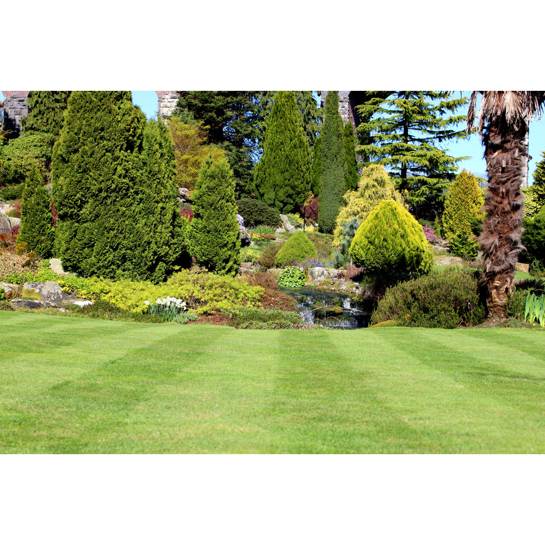 Image Of Freshly Mowed Grass In Garden, With Lawn Stripes by Mtreasure - Print