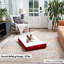 Lit pour chien avec coussin de soutien-794393535-794393522