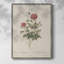 Impression florale vintage encadrée CLX III - bois massif-1382270628