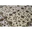 Dharma Oriental Area Rug
