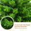 Arbre de Noël pin vert-529796853
