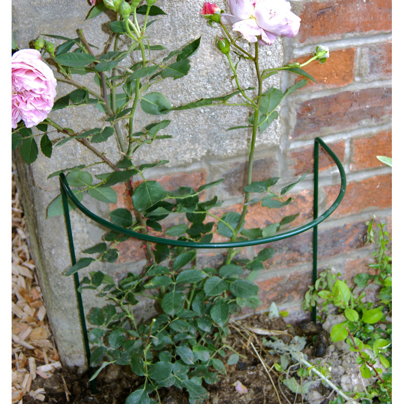 Babken Metal Plant Support, Green, 50.8cm H x 38cm W x 25.4cm D
