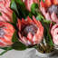 Faux Stem Tropical Arrangement 470mm (12pk)-1971626870