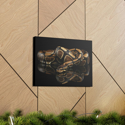 Art mural majestueux Anaconda