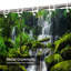 Magnifique rideau de douche avec 12 crochets-382991312