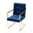 Vannessa 19'' H Tufted Upholstered Arm Chair-36293750-36283552