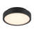 Patrol Ceiling Mount, 15W, Black Finish