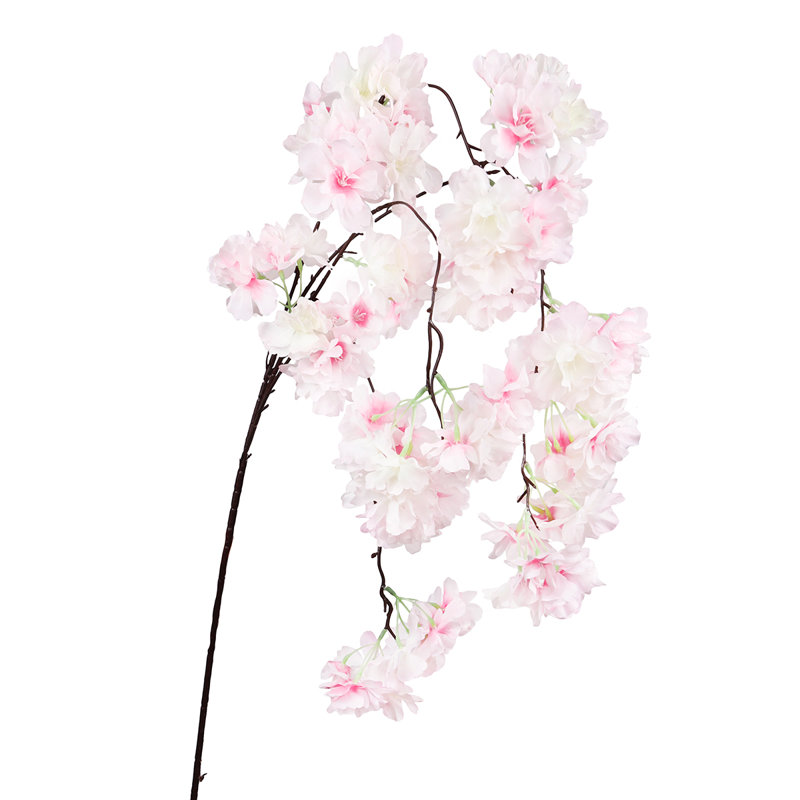 Jet de fleurs de cerisier en cascade, Rose