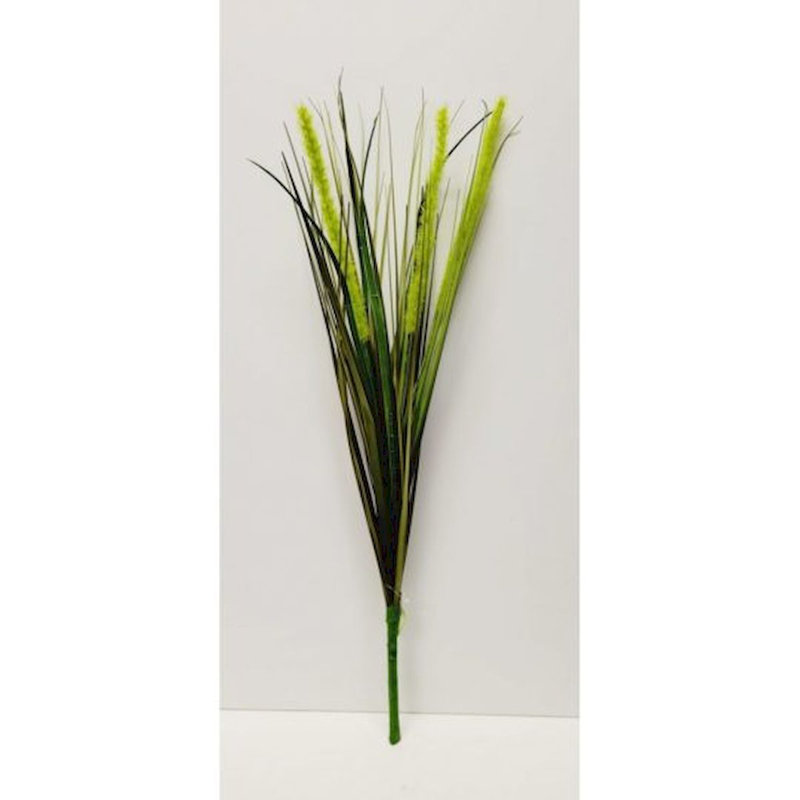 Millet de brousse artificielle et arbres