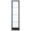Misa 16.75 " W Glass Curio Cabinet
