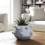 Dakota Fields Ceramic Tapered Bubble Planter-624215746-624215749-624215750