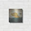 «Yellow Dog Swim» par Ryan Fowler-1300363320