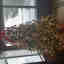 Customer photo 2 of 2