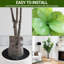 72cm Plant
