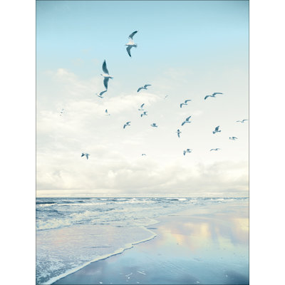Seagulls On The Beach GLA2603