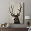 Colorado Buck - Cavas enveloppés de galerie-1547488874
