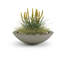 Jardinière en béton peu profond Oceanside-935299275-935299313
