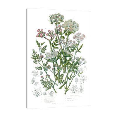 «Flowering Plants IV» par Wild Apple Portfolio - impression sur toile tendue