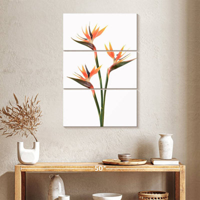 Oiseaux en fleurs du paradis